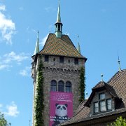 DSCF1595