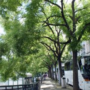 DSCF1688