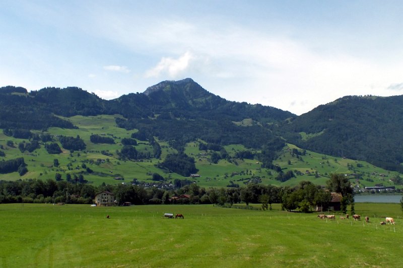 DSCF1833