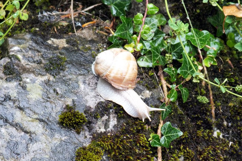 DSCF2155