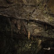 DSCF2141