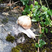 DSCF2155