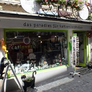 DSCF2252