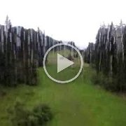 DSCF2292
