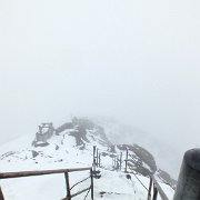 DSCF2320