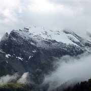 DSCF2422