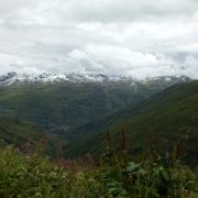 DSCF2711