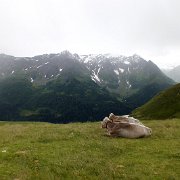 DSCF2736