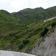 DSCF2744
