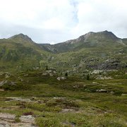 DSCF3071
