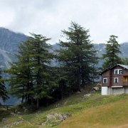 DSCF3977