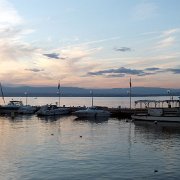 DSCF4295