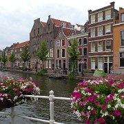 DSC09106