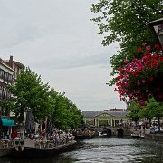 DSC09133