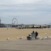 DSC09175
