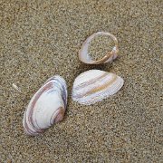 DSC09180