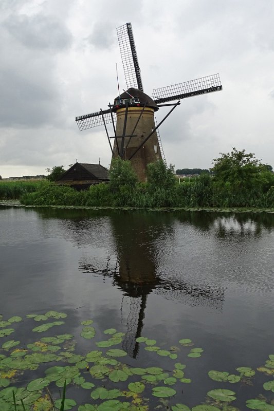 DSC09208