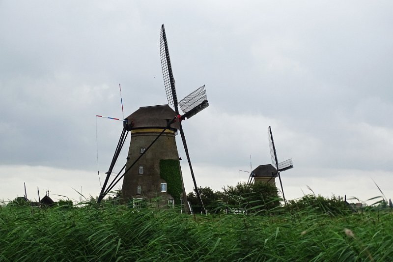 DSC09221