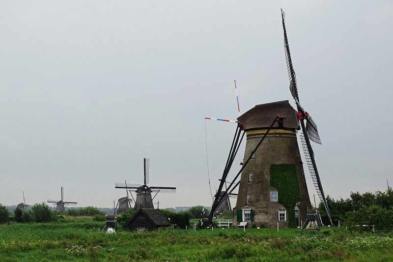 DSC09244