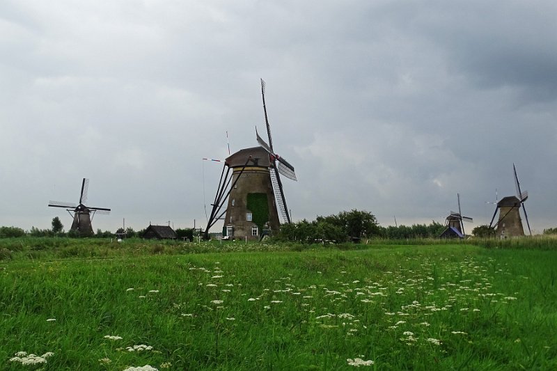 DSC09252