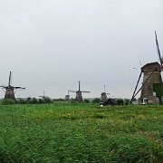 DSC09239