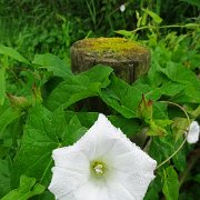DSC09251