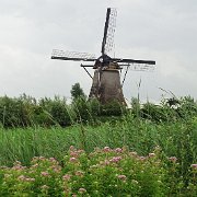 DSC09268