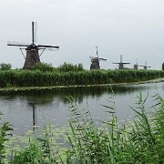 DSC09299
