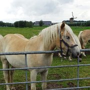 DSC09302