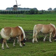 DSC09306