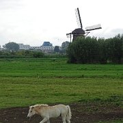 DSC09307