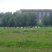 DSC09309