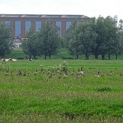 DSC09310