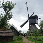 DSC09316
