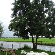 DSC09317