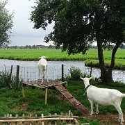 DSC09323