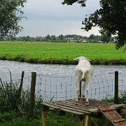 DSC09324
