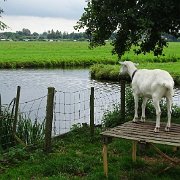 DSC09325