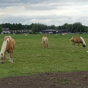 DSC09361