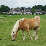 DSC09363