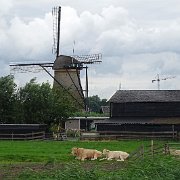 DSC09365