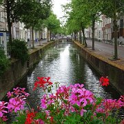 DSC09434