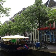 DSC09446