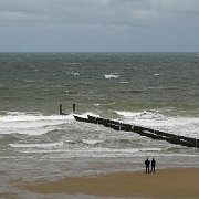 DSC09554