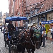 DSC09586