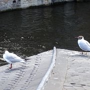 DSC09661