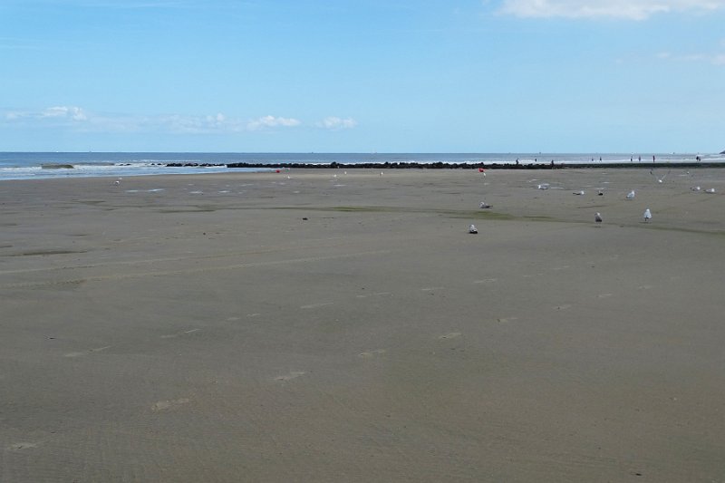 DSC09770