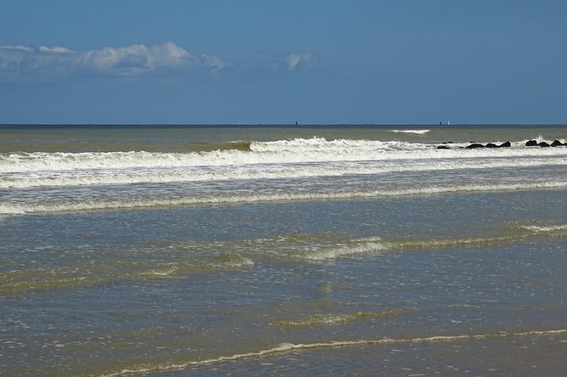 DSC09790