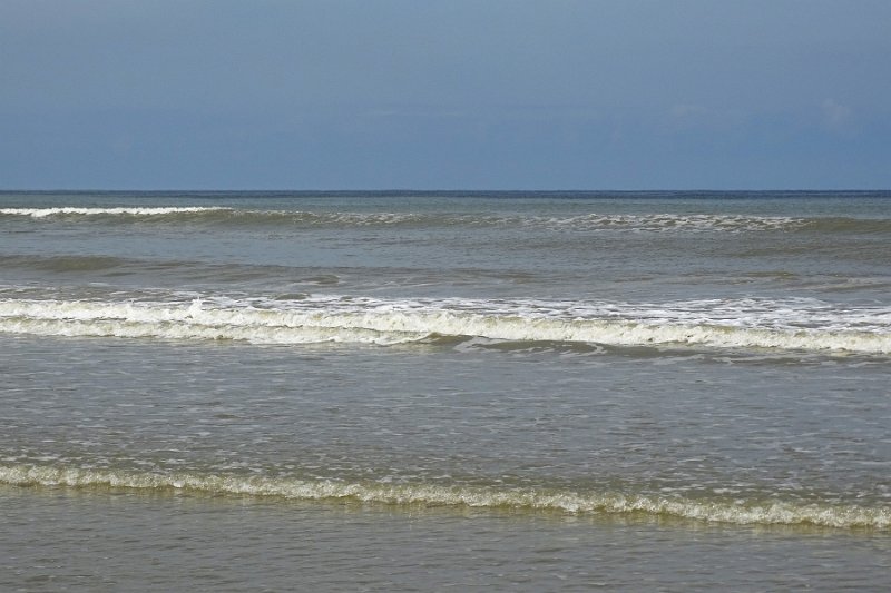 DSC09791