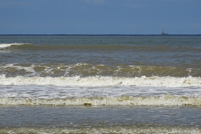 DSC09800